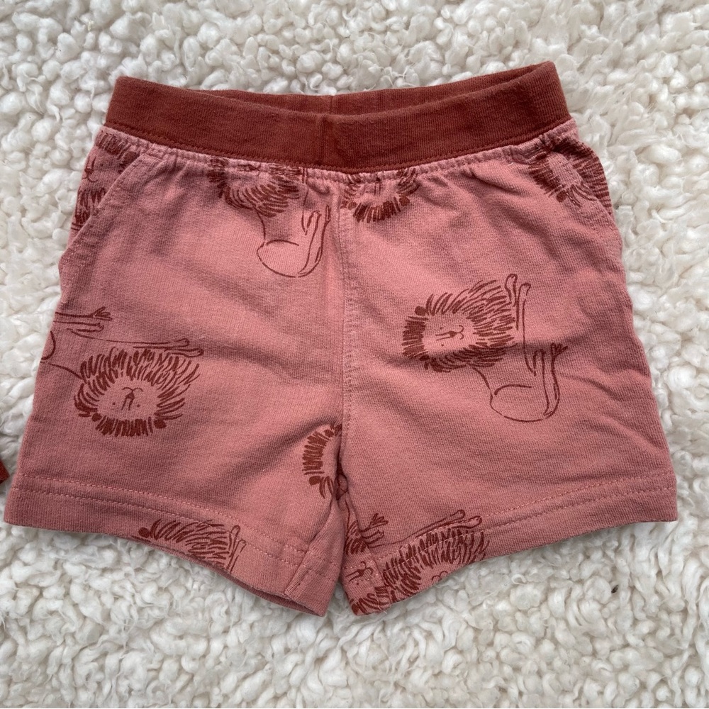Carters Short Set - Picture 4 of 6